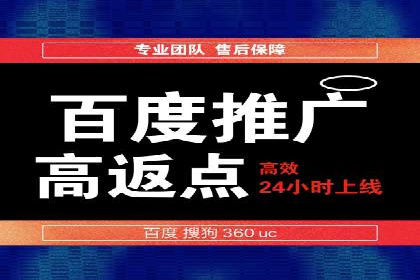 百度竞价代理操作手册：成功案例分析